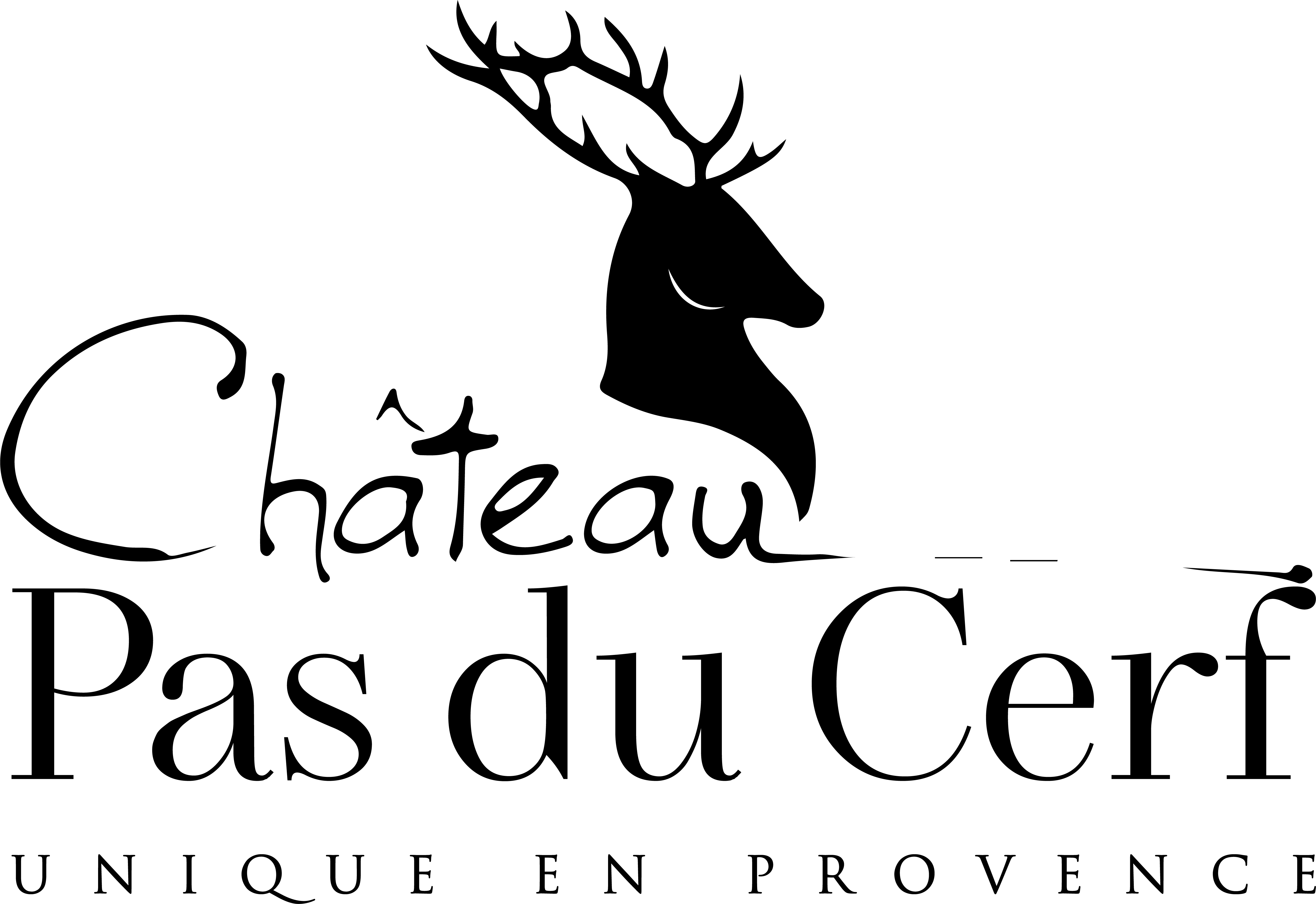 logo pas du cerf-01